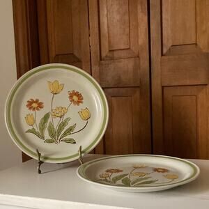 Vintage Country Casual “Sunnyvale” Dinner Plates, Set of 2
